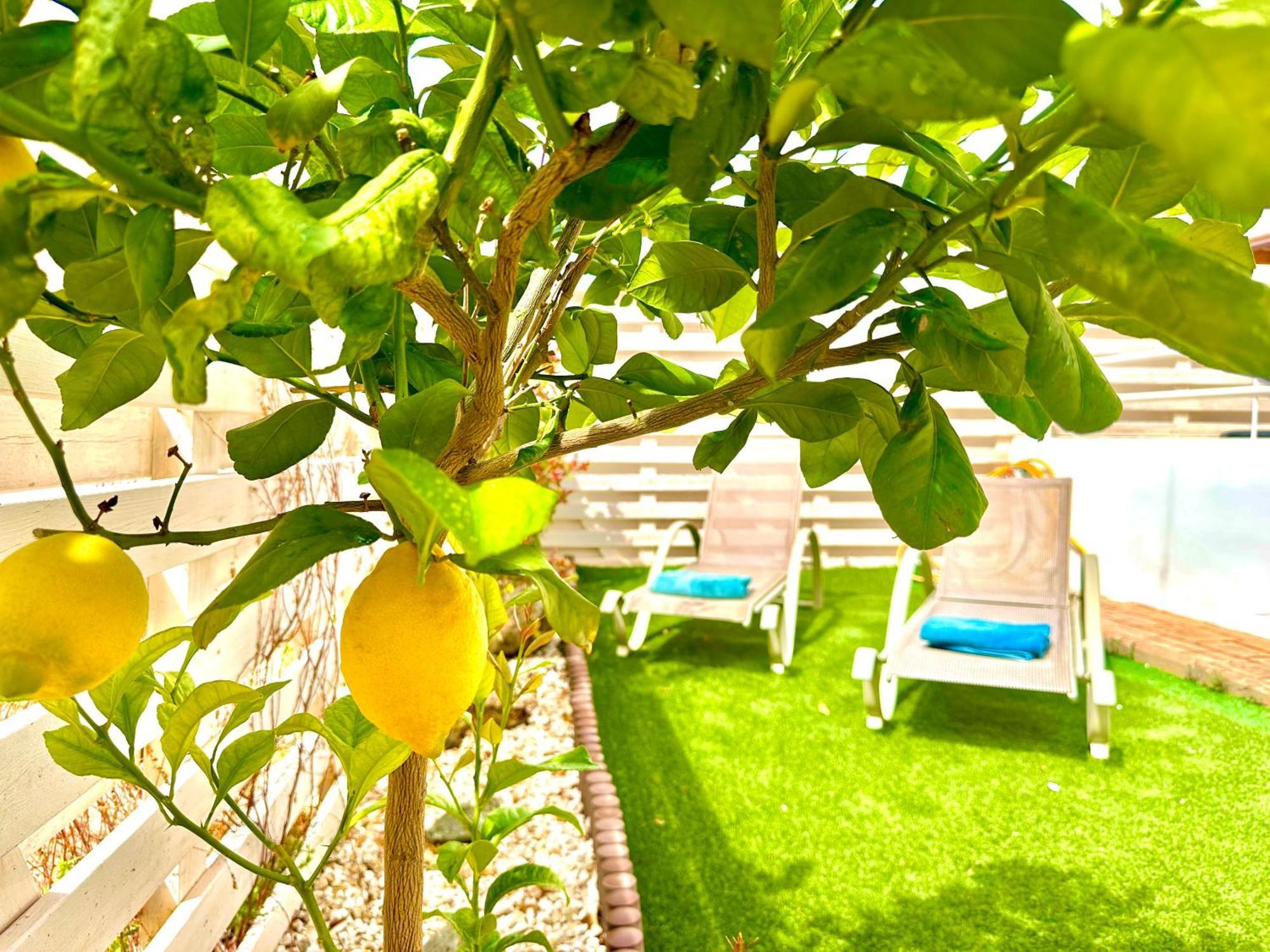 Nissi Escape - 5 Min Walk To Paradise * Ayia Napa